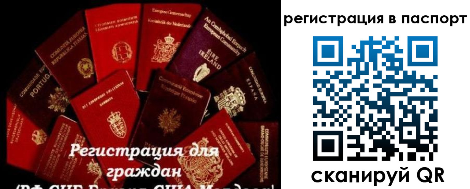 миграционный учет в Ставропольском крае